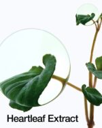 Anua Heartleaf Pore Control Cleansing Oil -200ml - Image 11