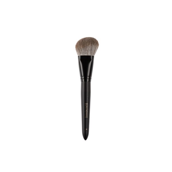 Beautydrugs Brush 11