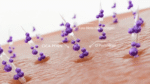 Mary&May Spicule Collagen PDRN Cream Anti-aging for Face - 15g - Image 9